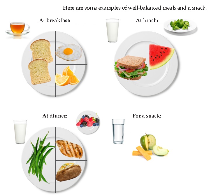 These plates show examples of well-balanced meals and snacks. For breakfast, two piece of toast, one egg, some orange slices and a cup of tea are shown. For lunch, a cup of milk; a turkey sandwich with cheese, lettuce, tomatoes, and onions; a slice of watermelon, and a small plate of broccoli. For dinner, a glass of milk, some string beans, a chicken breast, a baked potato, and a small plate of berries. For a snack, a glass of water, an apple, and some cheese.