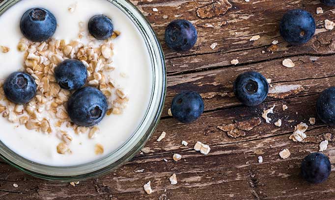 probiotics from yogurt in a yogurt, blueberries and oats dish