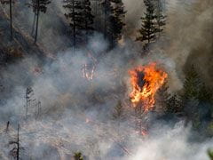 canada-wildfires-240x180