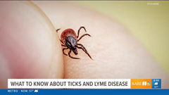 ticks