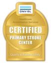 thumb dnv gl certified primary stroke 2017