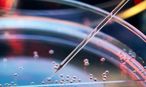 committed to innovation