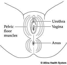 Kegel Exercise Chart