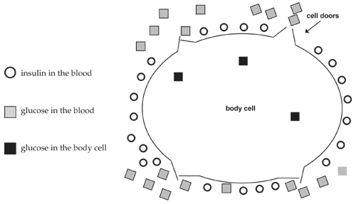 insulin resistant body cell image