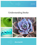 understanding stroke manual cover