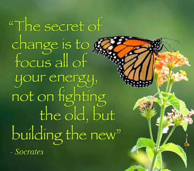 The secret of change is to focus all of your energy, not on fighting the old, but building the new. Socrates