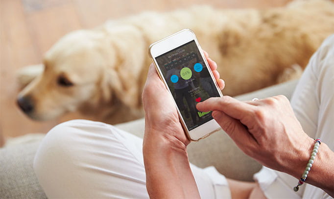 333114 hsg jan fitness tracking 682x408