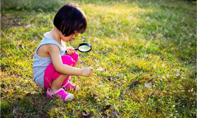 fun ways to hunt for bugs