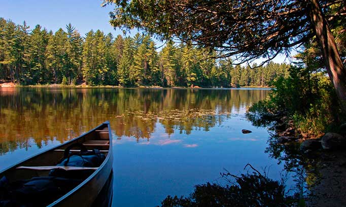 enjoy the great outdoors with these camping safety tips