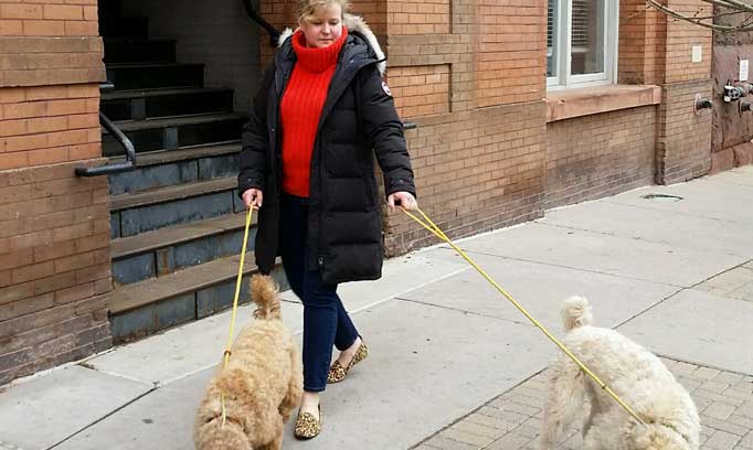 Dr. Wang walks her dogs
