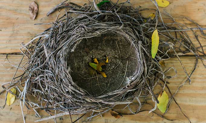 coping with empty-nest syndrome
