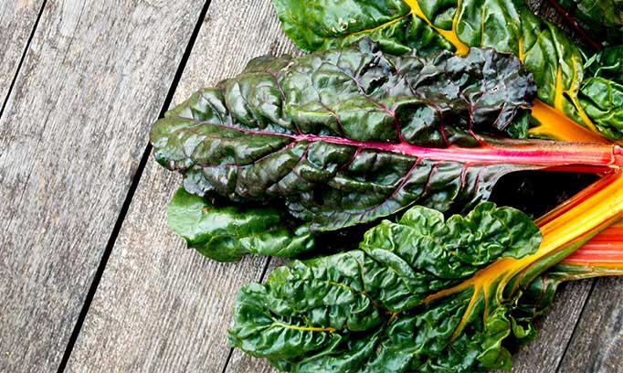 adding leafy greens into your daily diet