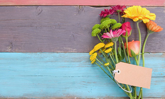 hsg mar thrive hello spring 682x408