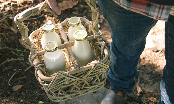 milkjugs stocksy txp4f439b04por000 medium 77692 682x408