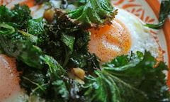 hsg mar nourish eggs 682x408