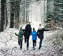 nov forest family 214x192