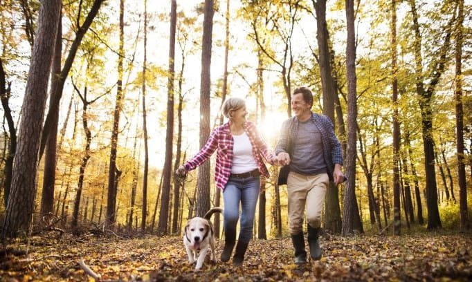 fall-season-allergies-1020524218