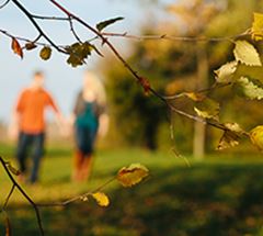 stocksy fallallergies medium 115489 214x192