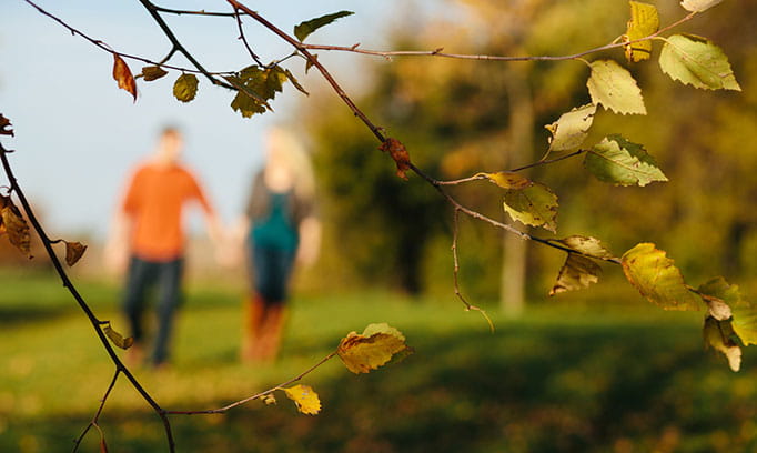 don't let fall allergies bring you down