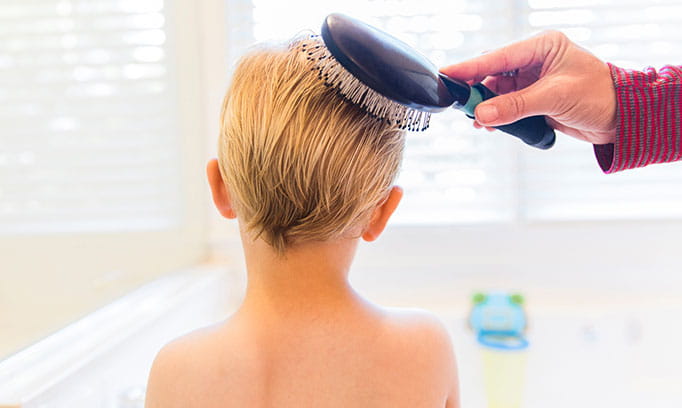 common questions about lice