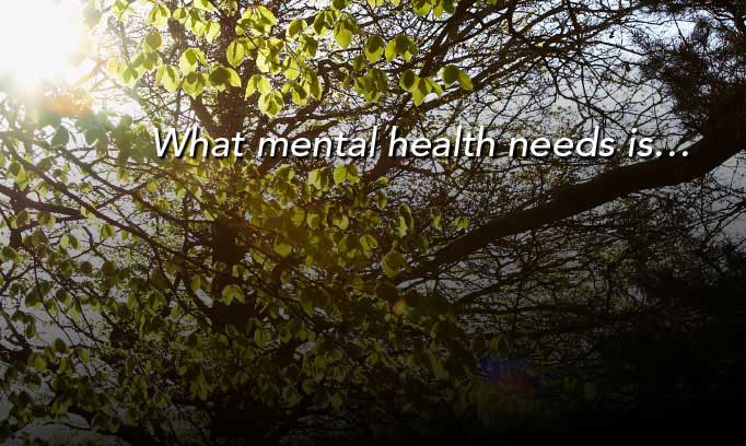 what mental health needs