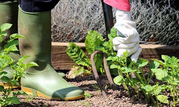 prevent gardening aches and pains