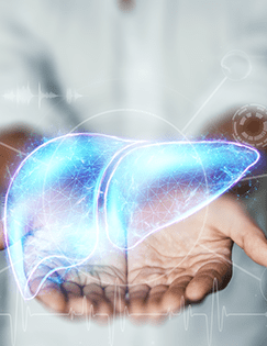 digital liver