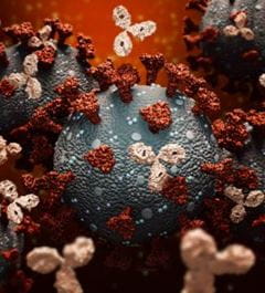 COVID microscopic view