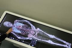 CourtesyHastingsJournal