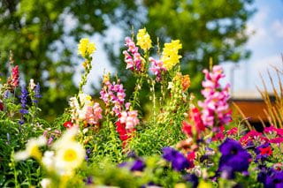 about buffalo hospital in buffalo minnesota