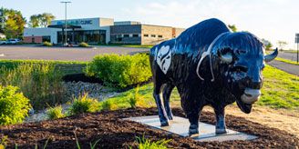 buffalo statue to represent Allina Health clinics in Buffalo, Minnesota and surrounding areas