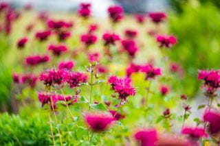 birthing center at buffalo hospital