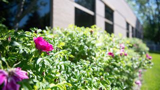Allina Health Faribault Medical Center — Occupational Medicine clinic in Faribault, MN — photo 8