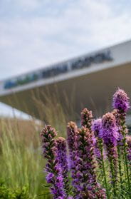 regina clinic and hospital exterior 184x279