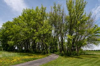 owatonna hospital walking paths