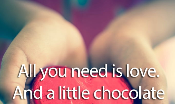 allyouneedislovehsgnourish