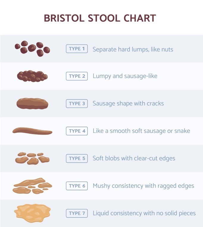 Bristol stool chart_Types of Poop