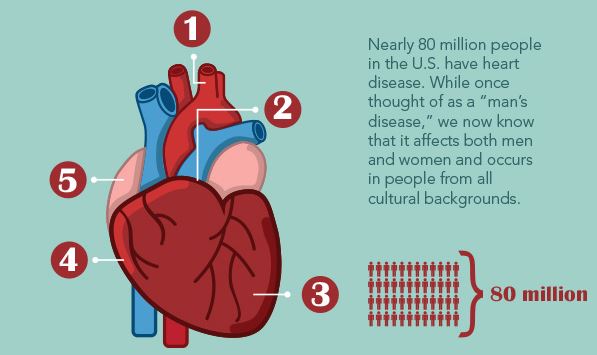diseased human heart