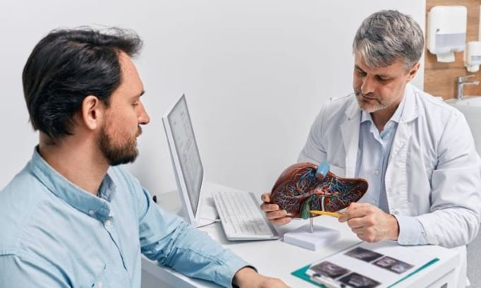 male doctor holds model of liver while talking with male patient about histotripsy
