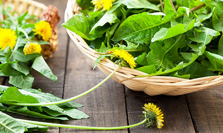 dandelion blooms and other hot food trends