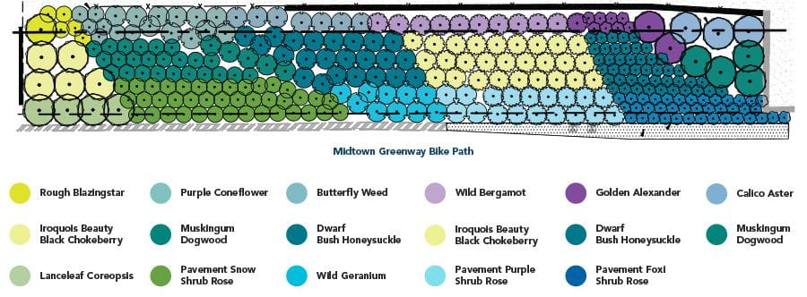 Pollinator Garden Diagram