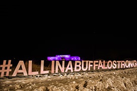 buffalo strong purple lights532