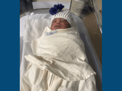 Newborn baby swaddled in a white blanket in a hospital basinet. 