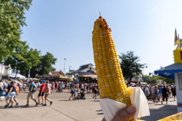 a roasted cob of corn in an outstretched arm in the foreground with a scene from the Minnesota State Fair in the background